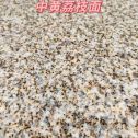 盘锦黄金麻中黄荔枝面