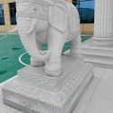 盘锦 白麻花岗岩动物异形石雕-大象
