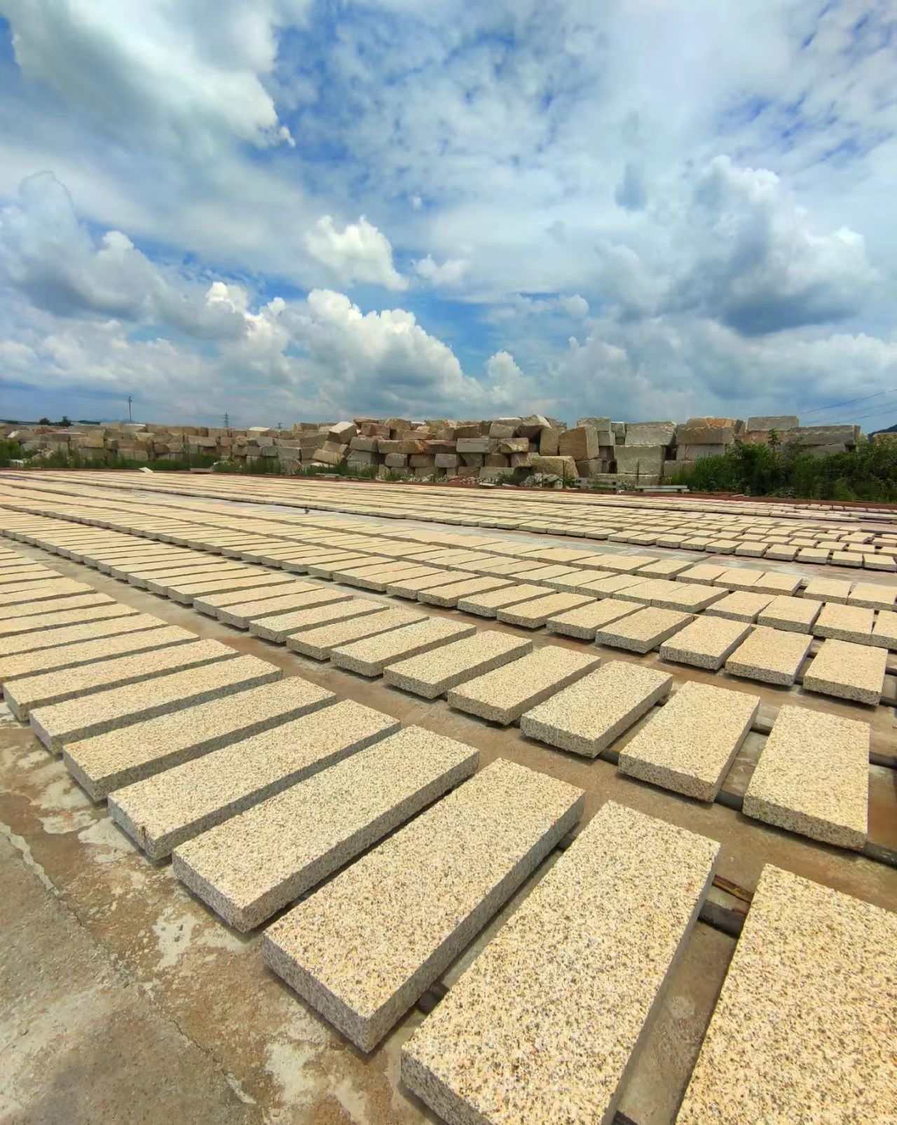 盘锦 黄金麻花岗岩荔枝面地铺石防护中